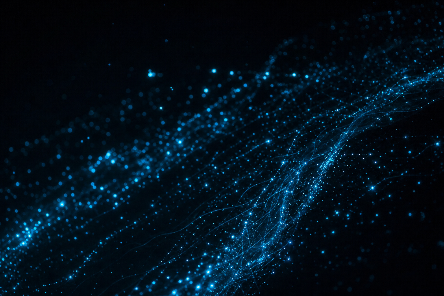 Bioluminescent plankton blooming in black water